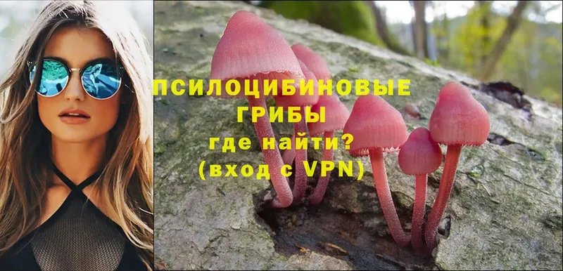 OMG ТОР  как найти закладки  Лянтор  Псилоцибиновые грибы Psilocybe 